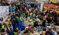 2026年德国斯图加特宠物用品展览会展位预定流程与注意事项详解，新手参展零踩坑指南