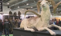2027年西班牙马德里狩猎及垂钓展览会展位预定流程，一步一步教你操作