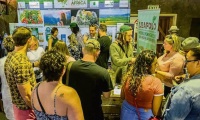 新手参加南非约翰内斯堡大麻展览会(The Cannabis Expo)展会：展位预约简化流程