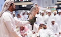 2027年中东迪拜狩猎装备、枪械、刀具展览会参展全指南