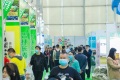 2027年广州国际食用油及橄榄油产业展-世界油博会(IOE)观展指南