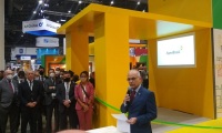 2027年巴西里约离岸石油展览会(OTC Brasil )展示范畴