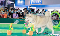2025亚宠北京宠物展-京宠展举办时间与地点