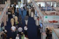 2026年巴基斯坦工业博览会(Pakistan Industrial Expo)将展出哪些内容？