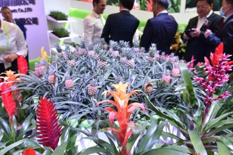 中国(北京)国际花卉园艺展览会展会现场图片