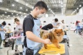 2027年新加坡宠物用品展览会(Pet Expo Singapore)门票如何获取？