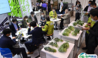 日本农业展2025门票购买途径