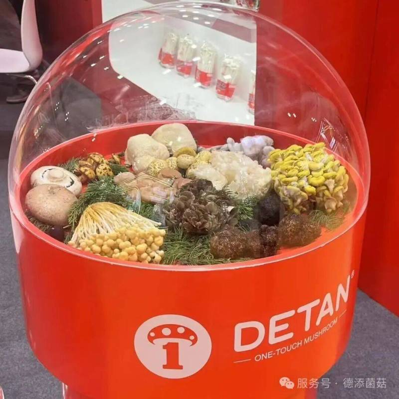 德添菌菇全球巡展第二站:2025年中国香港国际果蔬展,我们带着新品来啦!