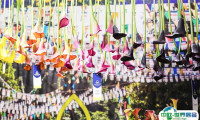 2025上海花卉园艺展参展攻略（时间+地点+观众预约）