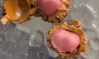 12月17日，河北唐山。一名男子把玩了四年的文玩核桃，最终发现竟是塑料制品。当事人表示：朋友称赞我真了不起，连塑料都能盘出变色效果