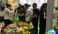 沈阳茶博会2026电子会刊