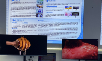 圣宇科技现身2025世界绿色发展博览会：数字视觉助力可持续明天