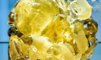 海角觅石 重塑消费体验——中国观赏石博览会开启海南文旅“新纪元”