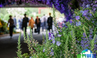 2026年英国花卉展览展位费用与展位分布图