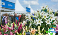 2026英国花卉展展商名录