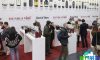 2026日本葡萄酒展 观众预登记火热进行中