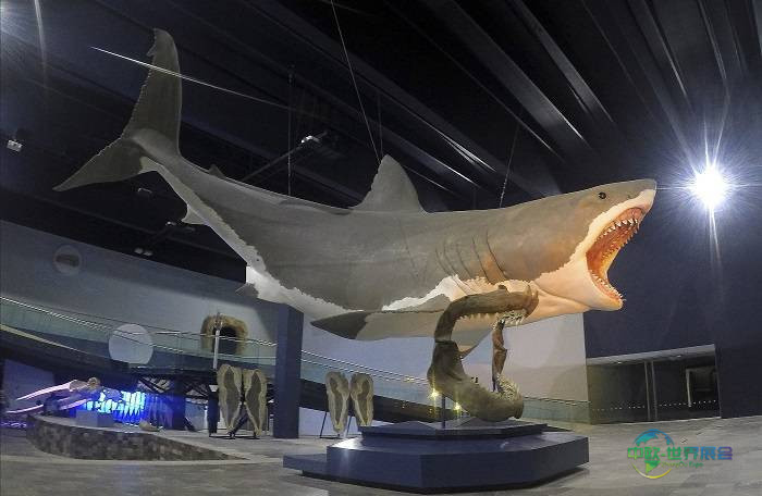 2026年法国巴黎国际海洋沙龙展览会：将展出巨型史前鲨鱼模型
