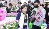 2025上海花卉园艺展参观攻略：展期地点与票价详情