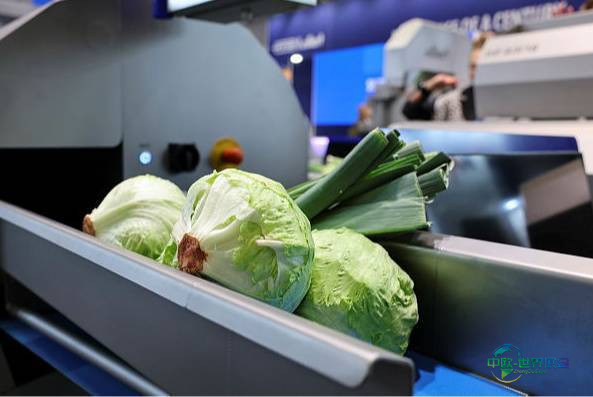 德国柏林国际水果蔬菜展览会 FRUIT LOGISTICA 2026展示秘密与魅力