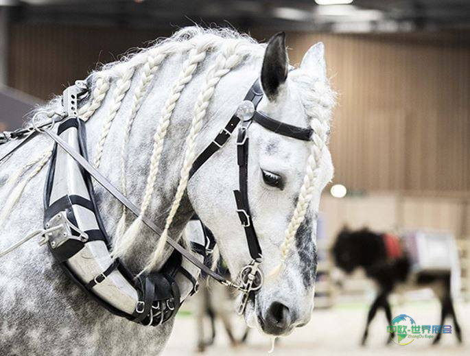 法国巴黎国际农牧业展 Concours GénÉral Agricole 2026年农业卓越盛会