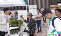 曼谷花卉园艺展2026门票在哪买
