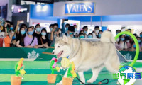 2026年上海亚洲宠物展览会会刊