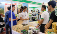 柬埔寨金边国际食品展：东南亚食品饮料市场增长机遇与关键趋势至2026年