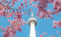 江城织就繁花大道，春日之约精彩纷呈
