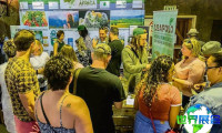 2026年南非大麻博览会(The Cannabis Expo)电子版参展指南