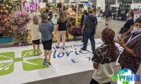 2026年美国花卉展览会(Floriexpo)购票途径及票价详情