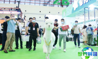 2026郑州宠物展览会观展全攻略：日程安排与票务详情