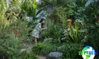 2026海宁世界花园展(World Garden Show)参观指南（日程/场馆/预约方式）