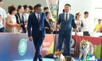 2026年西安宠物展(PA SHOW)门票购买渠道指南