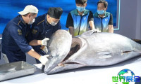 福建渔博会(Fisheries Expo)2026展会手册如何取得？