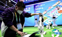 2026年中国国际进口博览会参观全攻略：展会日程与票务信息