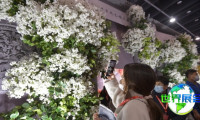 2026全国婚庆道具展(WFDF)展品范畴