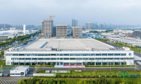 全球500强企业缘何年年赴约“樱花盛会”