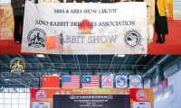 国内小型宠物赛事数量突破三百场！雄鹰京宠展SRBA小型宠物赛事圆满结束，三项大赛点燃萌宠爱好者热情