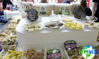 2026年上海宠物用品展(PFA SUPPLY)门票购买指南