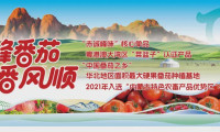 “赤峰番茄”亮相国际乡村发展创新博览会，百亿品牌开启全新旅程