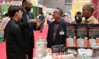 2026年日本大阪国际食品与饮料展览会：引领行业新趋势