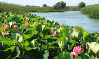 2026哈萨克斯坦阿拉木图国际旅游展：阿特劳州文旅瑰宝亮相