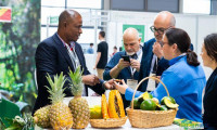意大利里米尼果蔬展Macfrut 2026开幕在即全球齐聚
