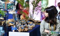第六届中国国际消费品博览会圆满闭幕(11)