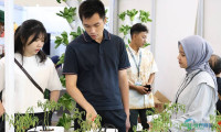 2025印度尼西亚雅加达国际农业科技展览会汇聚超七千业界人士