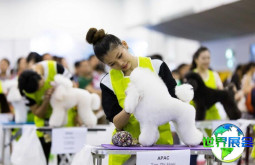 2026新加坡宠物展(SG Pet Festival)展品范围