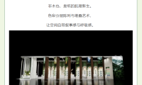 【绿美广交】模块之上，皆是风景