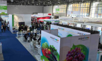 乌兹别克斯坦塔什干国际农业、畜牧业及食品加工展 AgroExpo Uzbekistan 2026领航农业现代化