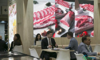 Meat Attraction展会已分配5000平方米展位，积极推进下一届展会