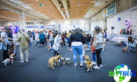 2026年葡萄牙宠物展(Pet Festival)展品范围详解